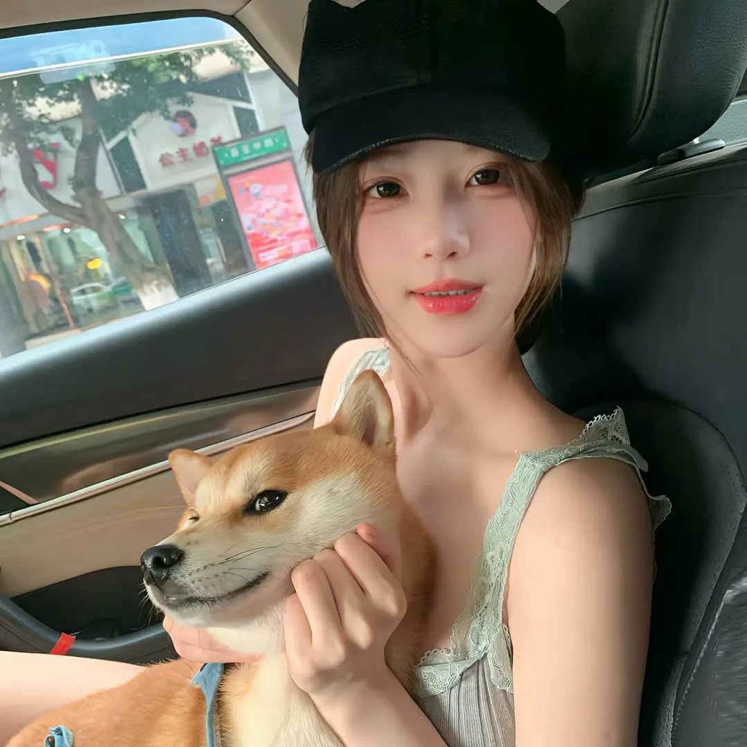 白鹭谣